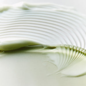Phyto Brew Matcha Dual Cream and Gel