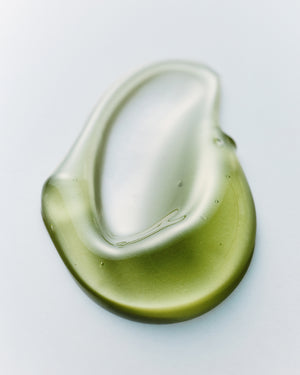 Phytho Brew Matcha Ampoule
